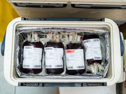 Blood bags in refrigerated storage compartment with human blood ready for donation.