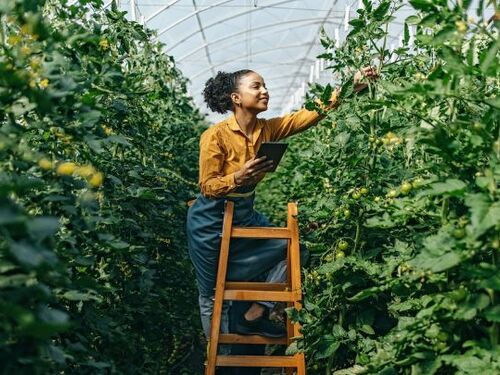 _Card Reducing Food Loss and Waste Dual Impact Actions to Address Climate Change and Improve Nutrition.jpg | https://nasemoceprodcomm-nationalacademies.cec.ocp.oraclecloud.com/content/published/api/v1.1/assets/CONTDE00A1F5123B44909B76F7D19427538F/nat...