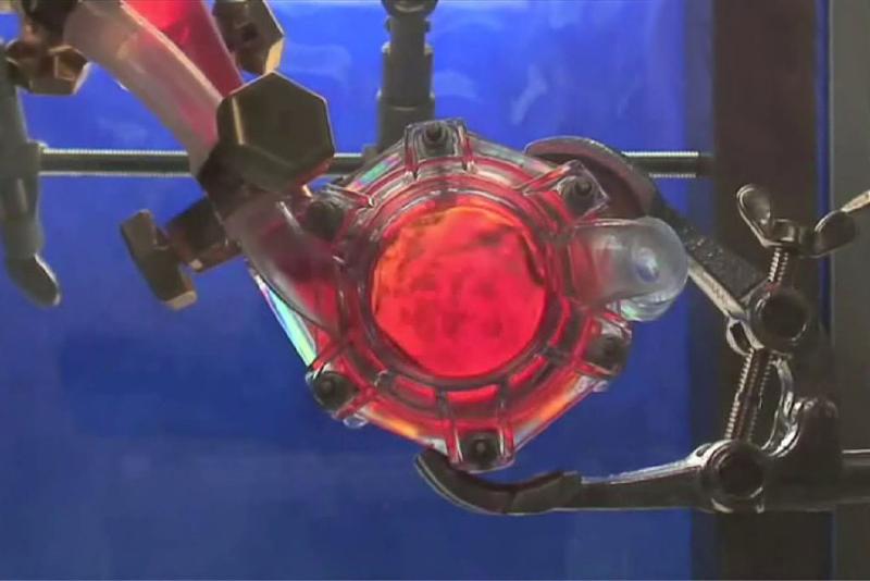 “The Holly” prototype