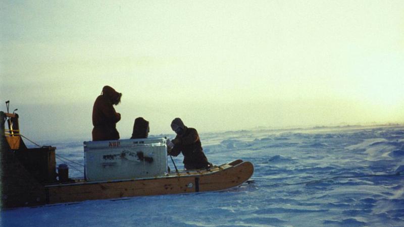 Jody Deming and her colleagues on an Inuit sled working on Arctic sea ice at -40°F during winter in 2001