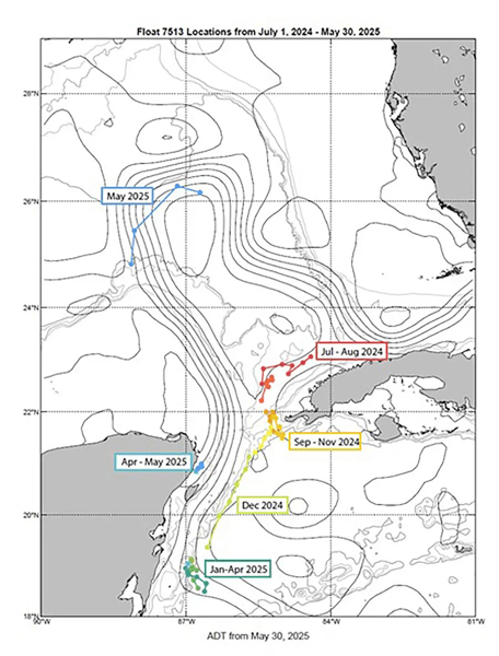 Figure 2. Map of Gulf of Mexico with trajectory of Float 7513 from July 2024 through May 2025, color coded by month. Image courtesy of Woods Hole Oceanographic Institution.