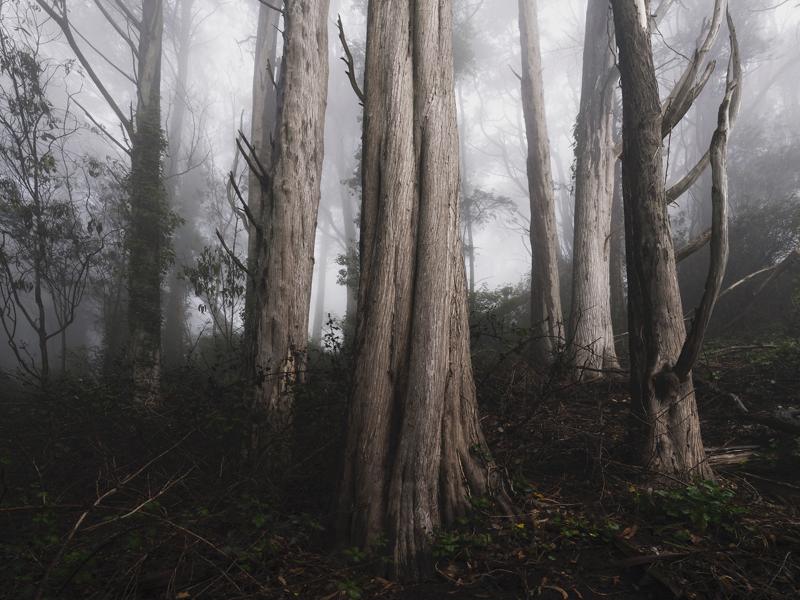 Chris Michel Photo, Artist-in-Residence