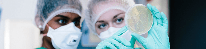 Banner India-U.S. Cooperation on Critical and Emerging Biotechnologies A Workshop Series.jpg | https://nasemoceprodcomm-nationalacademies.cec.ocp.oraclecloud.com/content/published/api/v1.1/assets/CONTBB7A77E5B5C649868C876FCBD0B89DB4/native?cb=_cache_daba&format=webp&channelToken=d2dc71410b56f1d61406108f1738d0f4