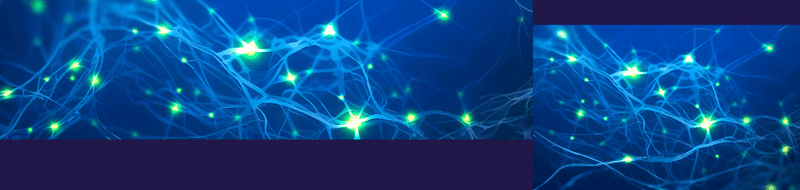 healthyexchange_2.jpg | https://nasemoceprodcomm-nationalacademies.cec.ocp.oraclecloud.com/content/published/api/v1.1/assets/CONT184D01FE3CC444C1A89CA8D39225BBB5/native?cb=_cache_daba&format=webp&channelToken=d2dc71410b56f1d61406108f1738d0f4