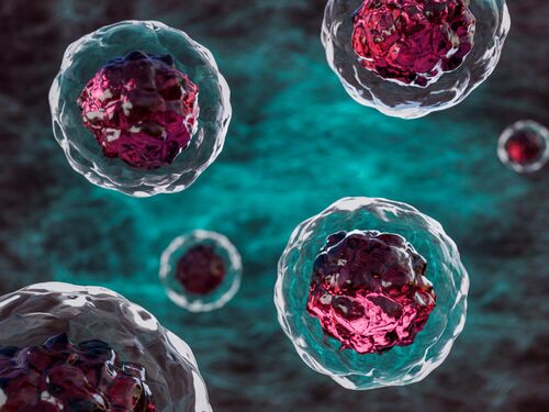 Magnified body's raw materials, stem cells