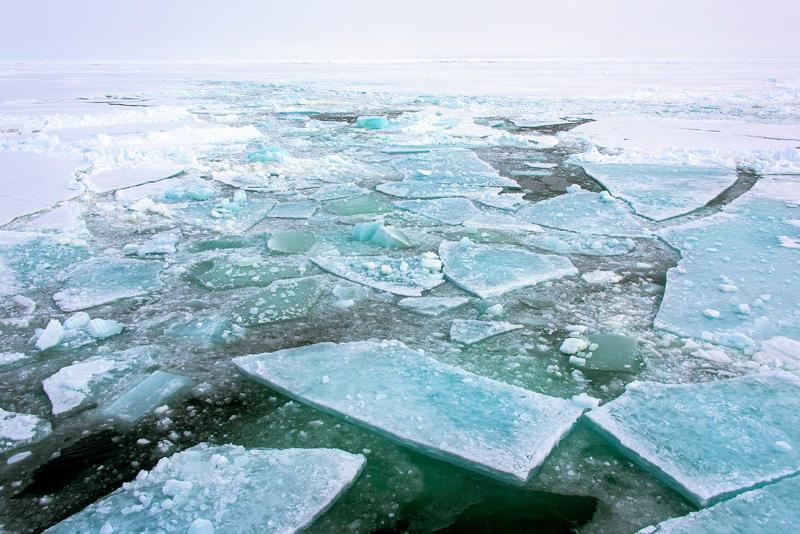 Chris Michel Photo, Artist-in-Residence