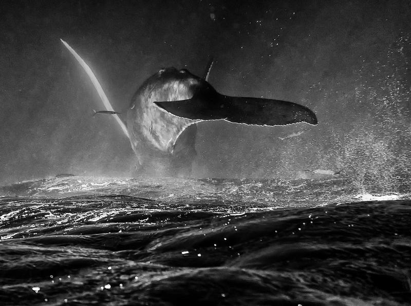 Chris Michel Photo, Artist-in-Residence