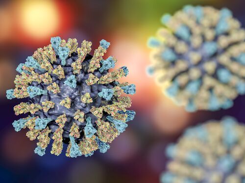 Measles virus, illustration