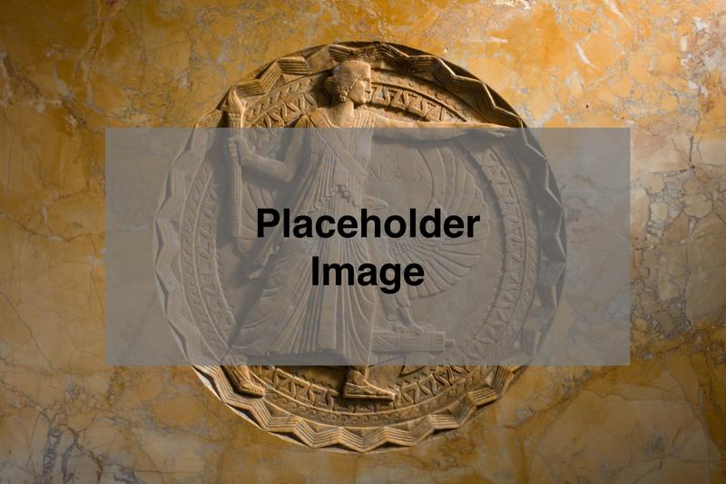 Placeholder image to use on pages in Twill