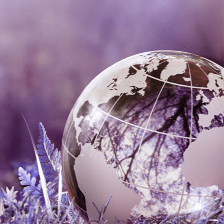 Sustainability Science Report Cover card square.jpg