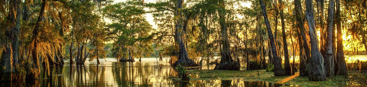 GEPS-Banner-Image.jpg | https://nasemoceprodcomm-nationalacademies.cec.ocp.oraclecloud.com/content/published/api/v1.1/assets/CONTDC4D1086CA374F70BCB38C5C1418730A/native?cb=_cache_daba&format=webp&channelToken=d2dc71410b56f1d61406108f1738d0f4