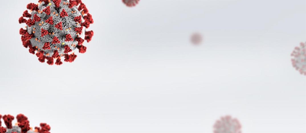 Untitled design-6.jpg