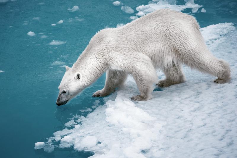 Chris Michel Photo, Artist-in-Residence