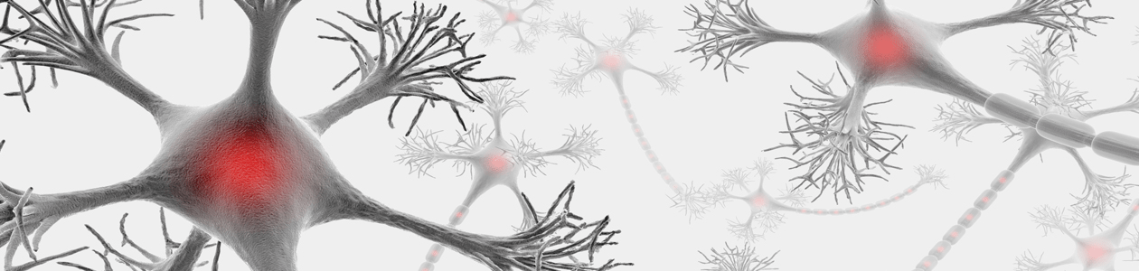 USNC hero image_0002_IUPsyS.jpg | https://nasemoceprodcomm-nationalacademies.cec.ocp.oraclecloud.com/content/published/api/v1.1/assets/CONTFDE4D972099F4527A5EC08FB3ED14E0E/native?cb=_cache_daba&format=webp&channelToken=d2dc71410b56f1d61406108f1738d0f4