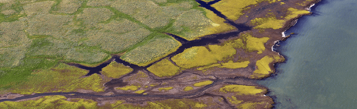 arctic thaw feature A - news archive image.jpg | https://nasemoceprodcomm-nationalacademies.cec.ocp.oraclecloud.com/content/published/api/v1.1/assets/CONTAC14C3826A6B4CFBA1964B5DF1EC9160/native?cb=_cache_daba&channelToken=d2dc71410b56f1d61406108f1738d0f4