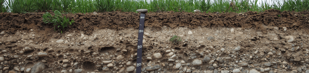 soils.jpg | https://nasemoceprodcomm-nationalacademies.cec.ocp.oraclecloud.com/content/published/api/v1.1/assets/CONT745781BB9B804B5AA649606252391FD7/native?cb=_cache_daba&format=webp&channelToken=d2dc71410b56f1d61406108f1738d0f4