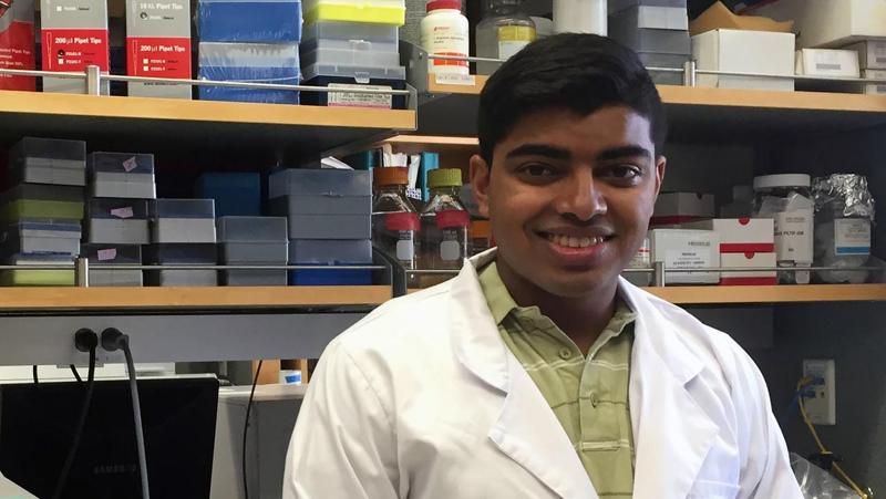 Nihal Satyadev, one of the winners of the National Academy of Medicine’s Healthy Longevity Catalyst Awards